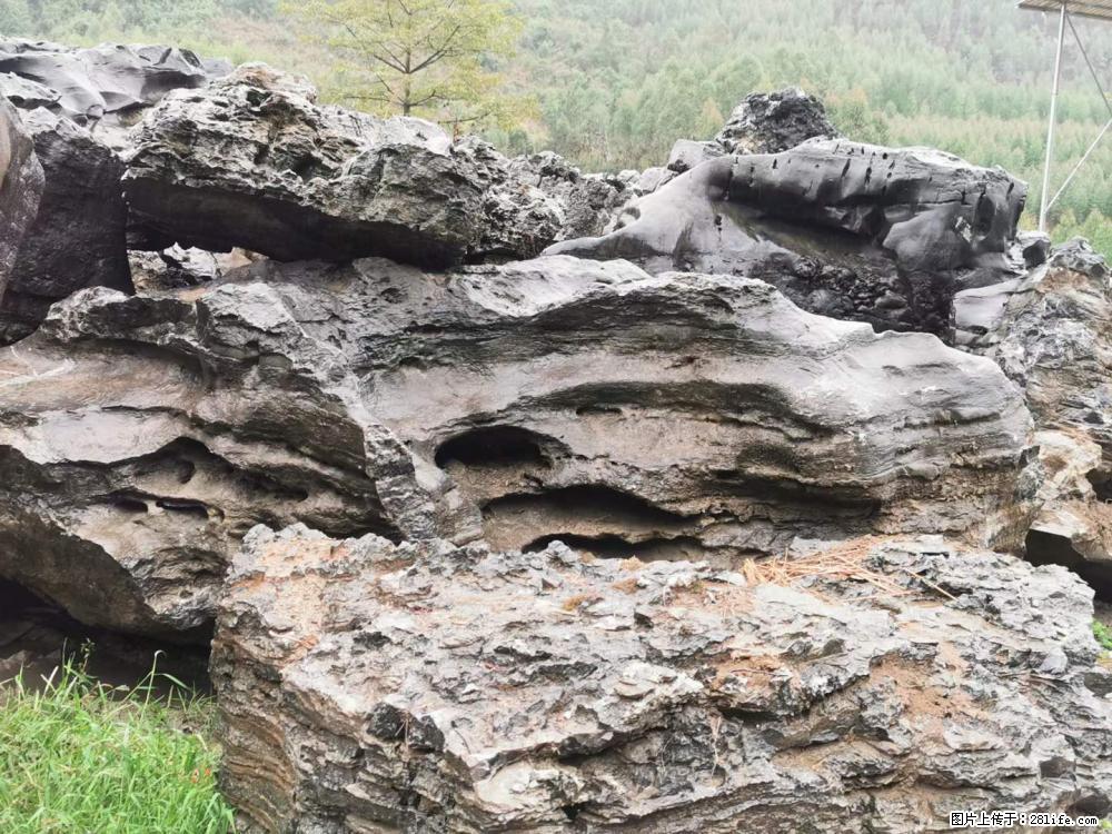风景石、假山石大量有货，有需要的欢迎联系 - 新手上路 - 衡水生活社区 - 衡水28生活网 hs.28life.net