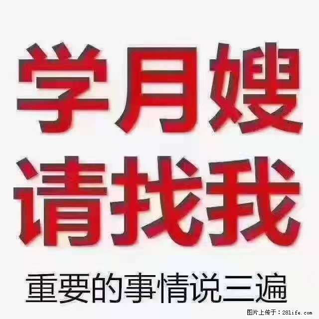 为什么要学习月嫂，育婴师？ - 新手上路 - 衡水生活社区 - 衡水28生活网 hs.28life.net