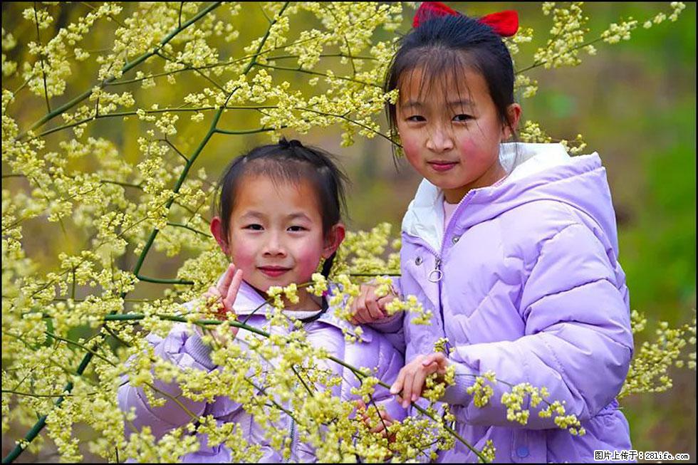 【春天，广西桂林灌阳县向您发出邀请！】米珠山前有片山苍子花在飘香 - 游山玩水 - 衡水生活社区 - 衡水28生活网 hs.28life.net