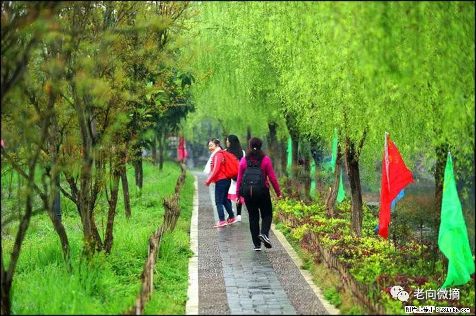 【春天，广西桂林灌阳县向您发出邀请！】江口老街又逢春 - 游山玩水 - 衡水生活社区 - 衡水28生活网 hs.28life.net