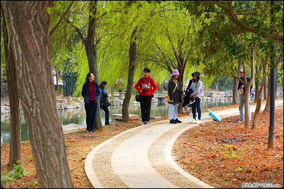 【春天，广西桂林灌阳县向您发出邀请！】江口老街又逢春 - 游山玩水 - 衡水生活社区 - 衡水28生活网 hs.28life.net