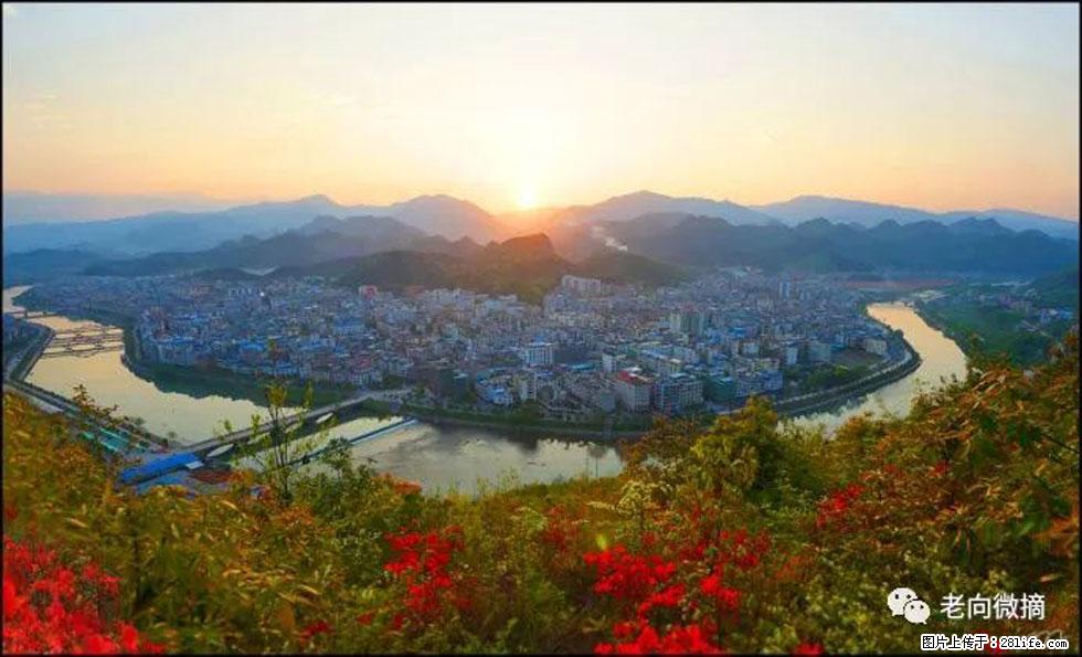 【春天，广西桂林灌阳县向您发出邀请！】登麒麟山，相约映山红 - 游山玩水 - 衡水生活社区 - 衡水28生活网 hs.28life.net