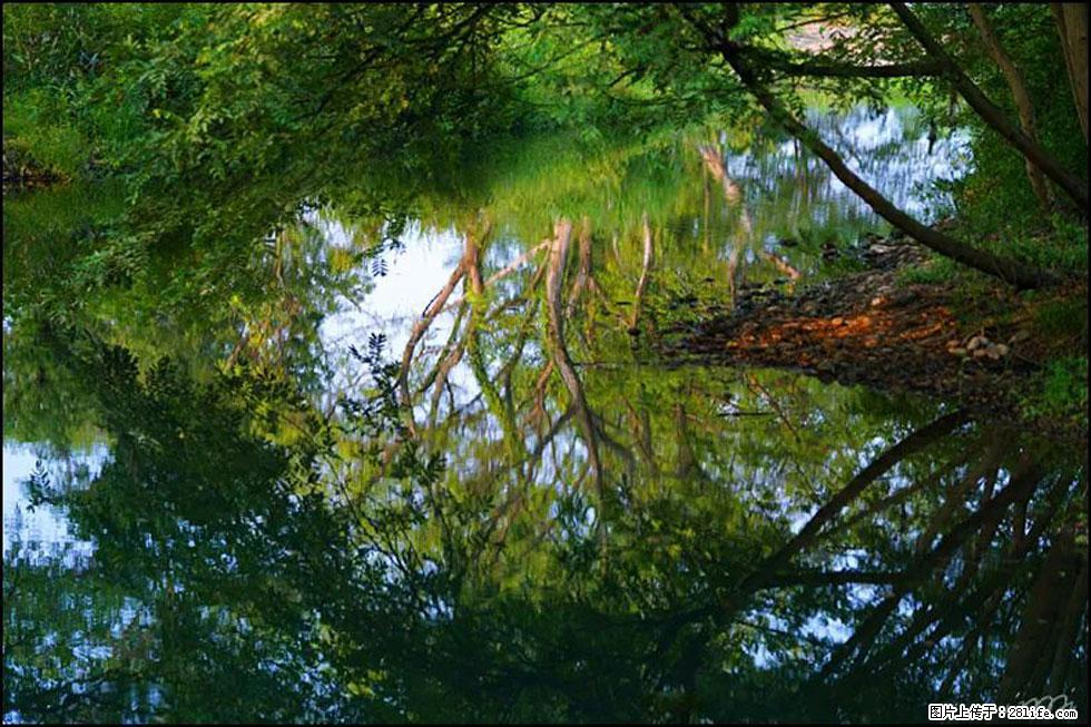 【春天，广西桂林灌阳县向您发出邀请！】熊家寨湿地公园 - 游山玩水 - 衡水生活社区 - 衡水28生活网 hs.28life.net
