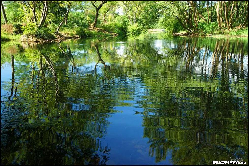 【春天，广西桂林灌阳县向您发出邀请！】熊家寨湿地公园 - 游山玩水 - 衡水生活社区 - 衡水28生活网 hs.28life.net