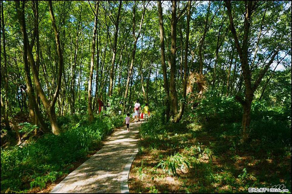 【春天，广西桂林灌阳县向您发出邀请！】熊家寨湿地公园 - 游山玩水 - 衡水生活社区 - 衡水28生活网 hs.28life.net