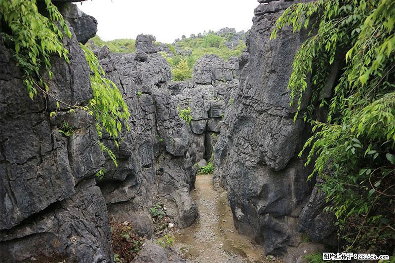桂林旅游名城景点：灌阳文市石林 - 游山玩水 - 衡水生活社区 - 衡水28生活网 hs.28life.net