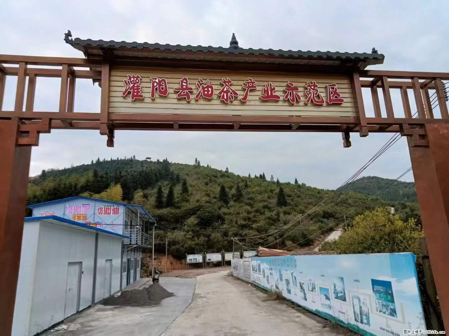 【灌阳县油茶产业示范区】一个有着充实的精神生活的人，对待身外之物自会有一种淡泊的态度 - 土特产 - 饮食特产 - 衡水分类信息 - 衡水28生活网 hs.28life.net