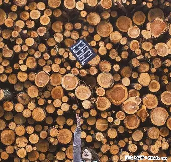辞掉工作周游世界？现在他们在洗厕所…… - 游山玩水 - 衡水生活社区 - 衡水28生活网 hs.28life.net