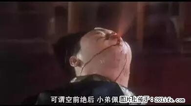 笑癫了！一女的怀孕三年未生，他终于忍不住了... - 娱乐八卦 - 衡水生活社区 - 衡水28生活网 hs.28life.net