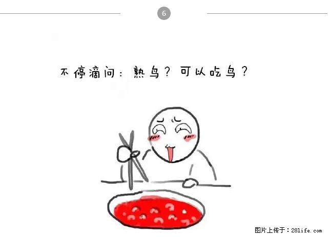 千万不要和这9种哈卵一起吃火锅！ - 美食天地 - 衡水生活社区 - 衡水28生活网 hs.28life.net
