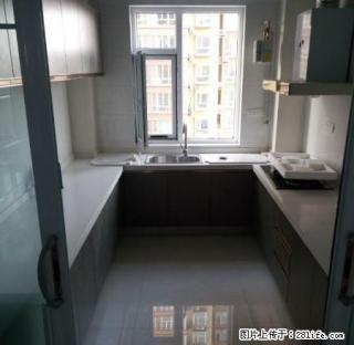 和平路 中华大街 新房三居 实拍照片 随时看房入住 - 衡水28生活网 hs.28life.net