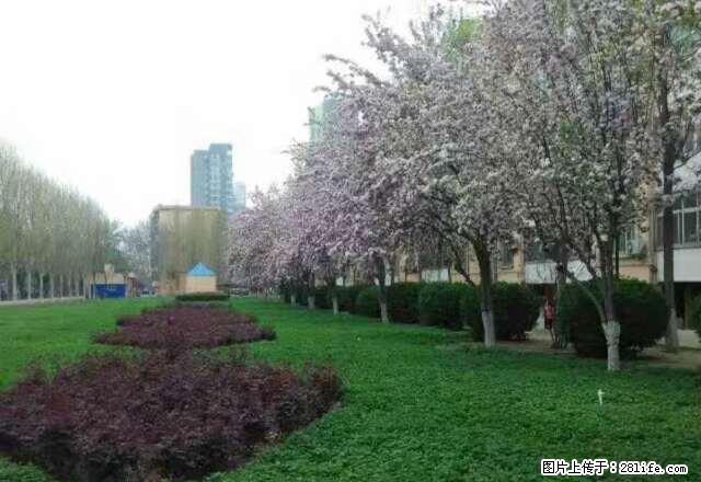 怡然城二中 丽景名典 一楼两居洗澡做饭家具 600 - 房屋出租 - 房屋租售 - 衡水分类信息 - 衡水28生活网 hs.28life.net