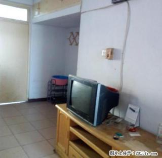 哈院 红旗大街 带全部家具家电 房东好说话 拎包入住 就行 - 衡水28生活网 hs.28life.net