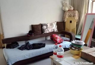 怡安嘉园小区2楼家具家电全拎包入住 - 衡水28生活网 hs.28life.net