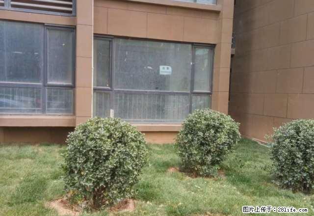 179车站附近1居家具冰箱电视空调能洗澡做饭拎包入住500 - 房屋出租 - 房屋租售 - 衡水分类信息 - 衡水28生活网 hs.28life.net