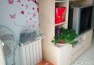 182凤凰城1居精装家具家电一应俱全拎包入住700 - 衡水28生活网 hs.28life.net