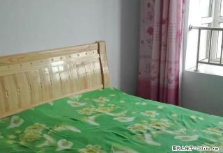 中华大街 九派香邻 两居 家具家电齐全 随时看房入住 - 衡水28生活网 hs.28life.net