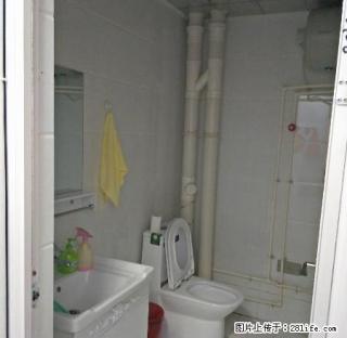 中央名邸1室60平10楼空调电视冰箱洗衣机家具 - 衡水28生活网 hs.28life.net