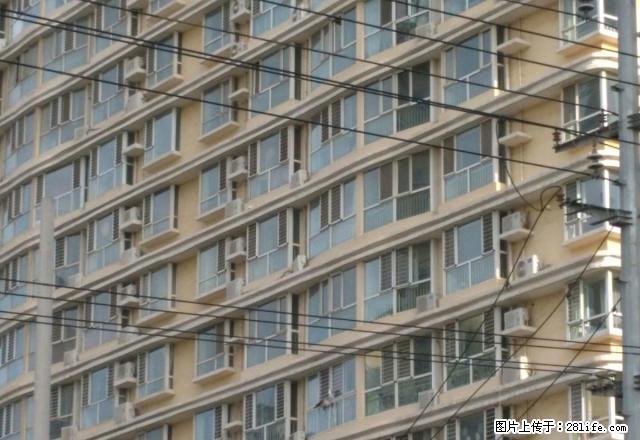 温莎 九派 带家具家电 整体厨卫 拎包就住谁时看房 - 房屋出租 - 房屋租售 - 衡水分类信息 - 衡水28生活网 hs.28life.net