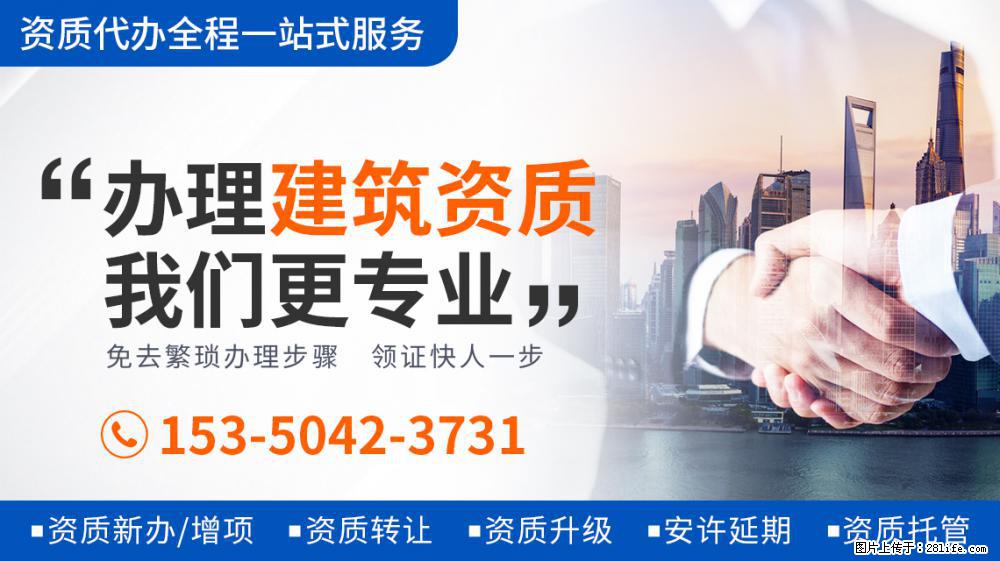 应采儿谢娜她们买菜，一个小细节看出谁在家常做饭，一眼便猜得到 - 新手上路 - 衡水生活社区 - 衡水28生活网 hs.28life.net