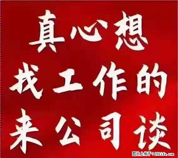 【上海】国企，医院招两名男保安，55岁以下，身高1.7米以上，无犯罪记录不良嗜好 - 职场交流 - 衡水生活社区 - 衡水28生活网 hs.28life.net