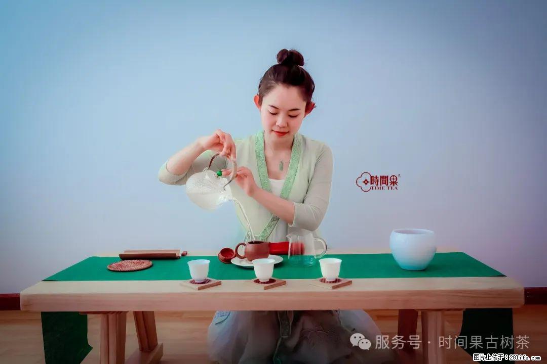 时间果百年古树龙珠普洱生茶 - 购物交流 - 衡水生活社区 - 衡水28生活网 hs.28life.net