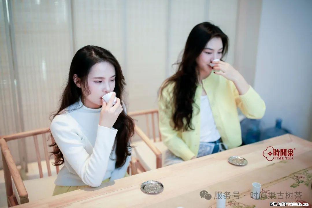 时间果百年古树龙珠普洱生茶 - 购物交流 - 衡水生活社区 - 衡水28生活网 hs.28life.net