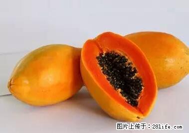 晕车、脚气、牙齿变黄、皮肤粗糙？学会这些三分钟搞定！ - 衡水生活资讯 - 衡水28生活网 hs.28life.net