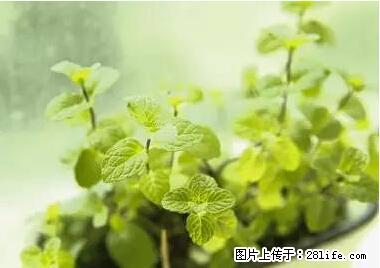 晕车、脚气、牙齿变黄、皮肤粗糙？学会这些三分钟搞定！ - 衡水生活资讯 - 衡水28生活网 hs.28life.net