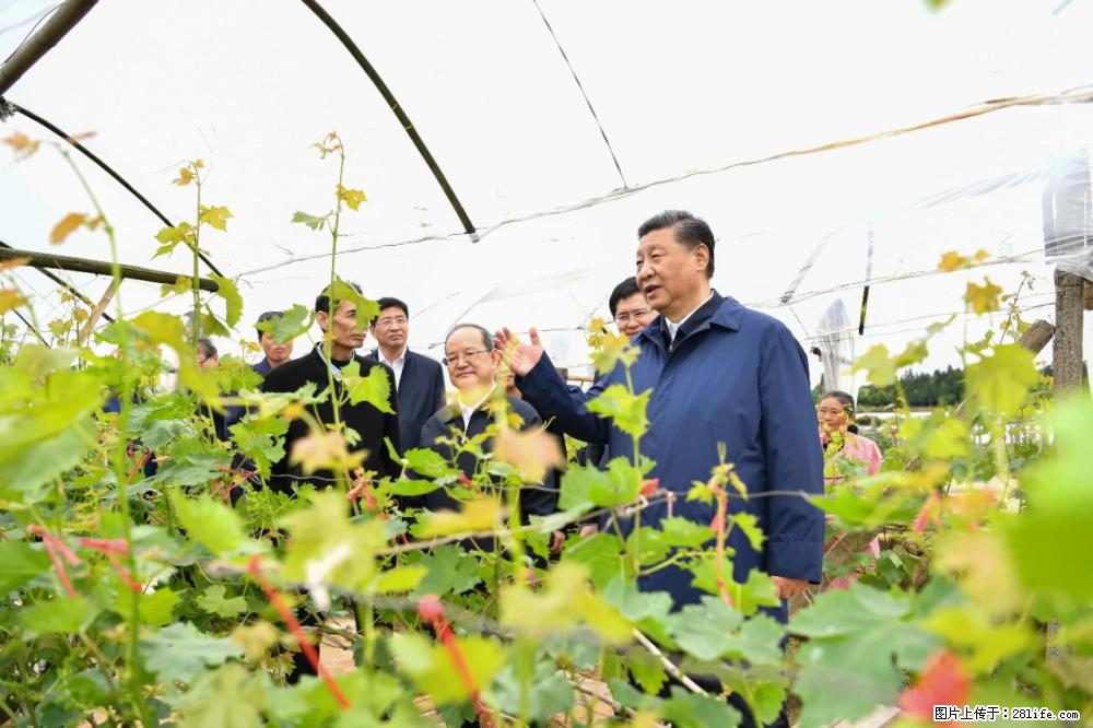 习近平赴广西考察调研 - 衡水生活资讯 - 衡水28生活网 hs.28life.net