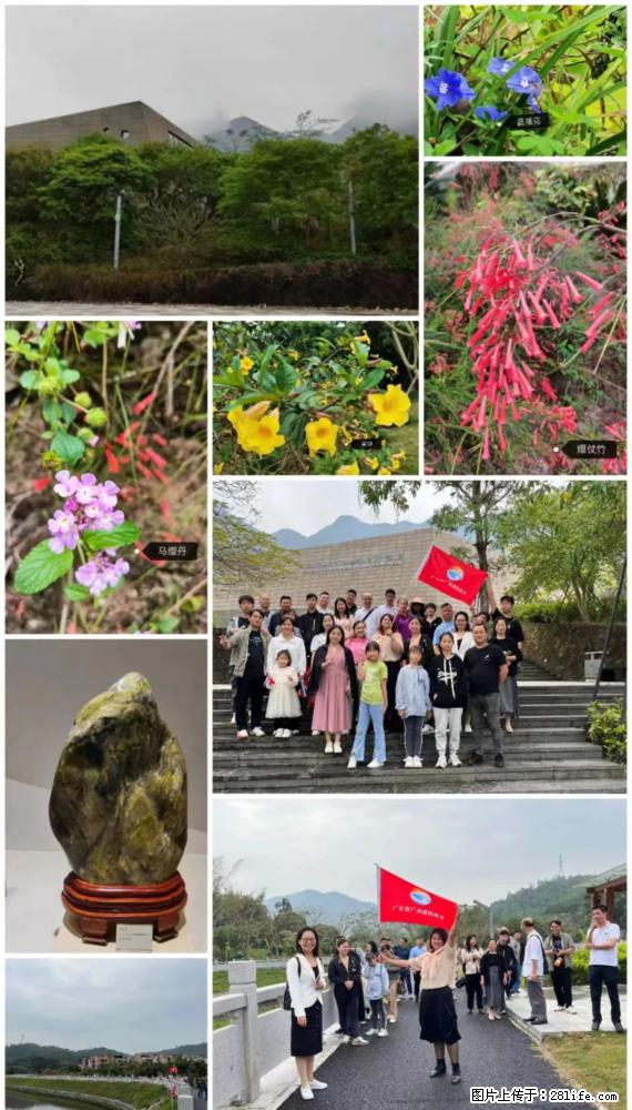 “粤灌文化 美好生活”油茶文化主题活动在广东深圳成功举办 - 衡水生活资讯 - 衡水28生活网 hs.28life.net