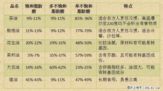 揭秘茶油的5大核心营养成分！被称为人体健康的“守护盾”！ - 衡水生活资讯 - 衡水28生活网 hs.28life.net