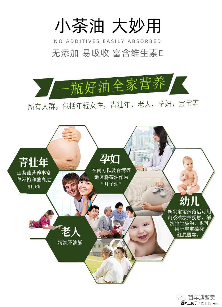 世界没有真相，只有认知，最好的食用油是中国的山茶油！ - 衡水生活资讯 - 衡水28生活网 hs.28life.net