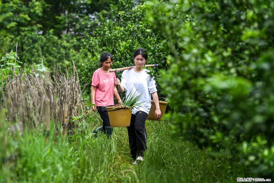 全网追的“扁担女孩”，找了一份暑假工，时薪12元 - 衡水生活资讯 - 衡水28生活网 hs.28life.net