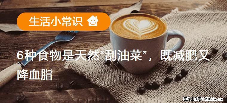【生活小常识】6种食物是天然“刮油菜”，既减肥又降血脂 - 衡水生活资讯 - 衡水28生活网 hs.28life.net