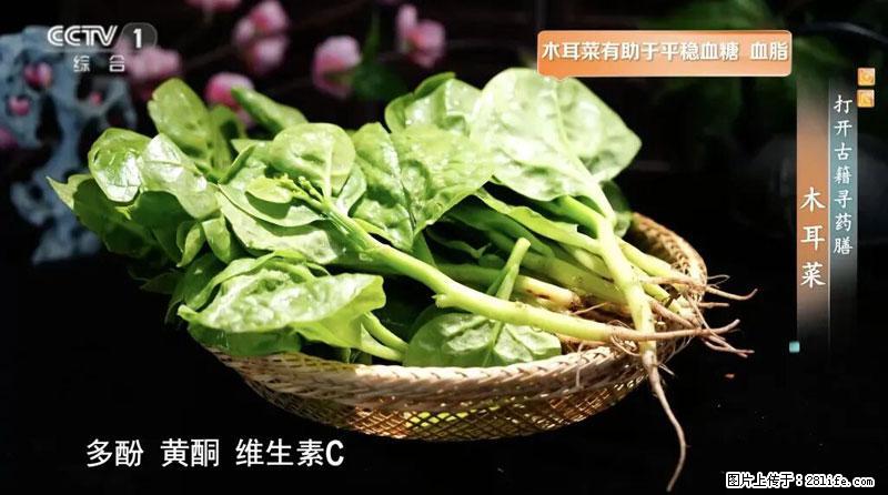 比牛奶补钙还厉害！凉血解毒、稳血糖...这菜冬天必吃，很多人却当草 - 衡水生活资讯 - 衡水28生活网 hs.28life.net