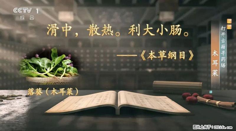 比牛奶补钙还厉害！凉血解毒、稳血糖...这菜冬天必吃，很多人却当草 - 衡水生活资讯 - 衡水28生活网 hs.28life.net