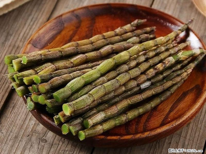 铁皮石斛的作用与功能主治 - 衡水生活资讯 - 衡水28生活网 hs.28life.net