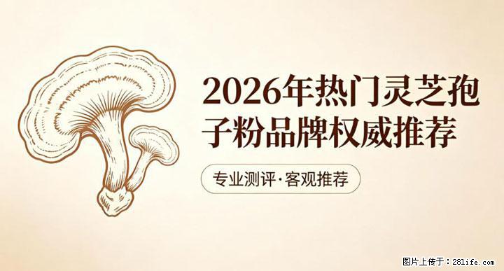灵芝孢子粉含量越高越有效？2026 年七款热门品牌深度实测，肠胃敏感者避坑指南 - 衡水生活资讯 - 衡水28生活网 hs.28life.net